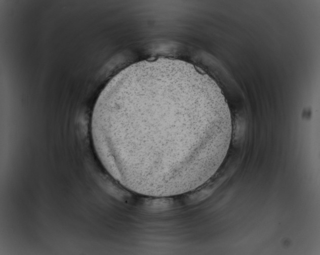 X0000100860282200807181143