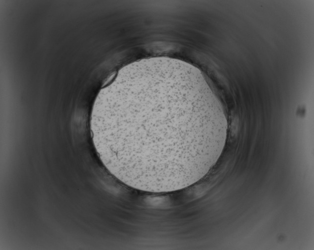 X0000100860283200807181143