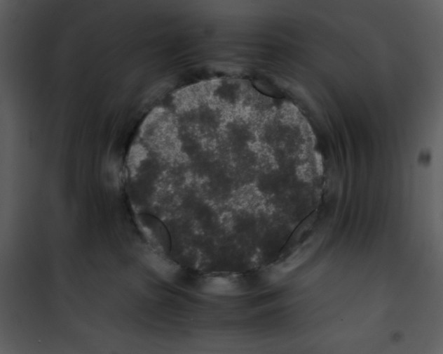 X0000100860285200807181143