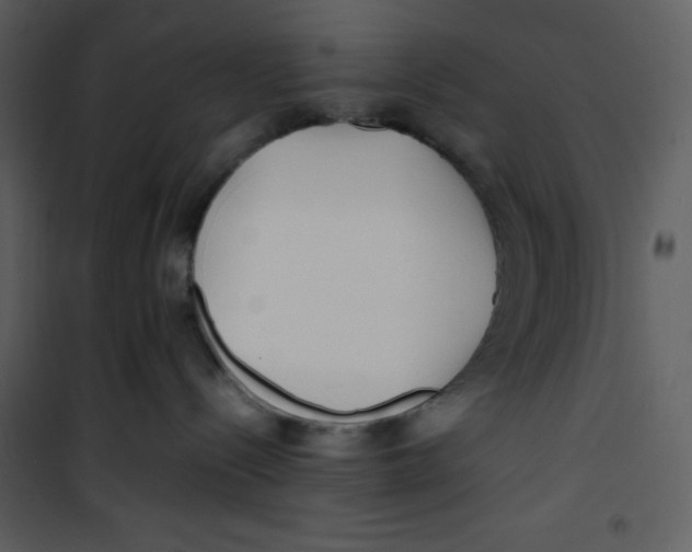 X0000100860288200807181143