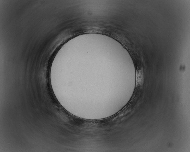 X0000100860291200807181142