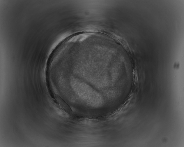 X0000100860292200807181142