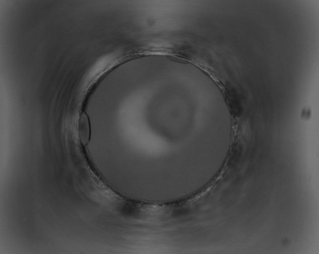 X0000100860293200807181142