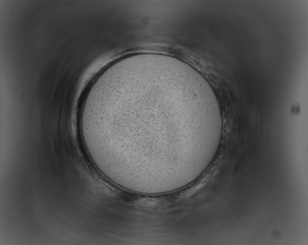 X0000100860294200807181142