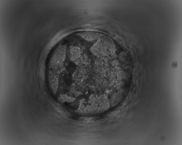 X0000100860295200807181142