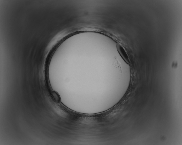 X0000100860296200807181142