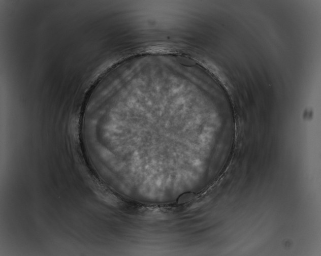 X0000100860297200807181142