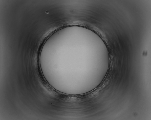 X0000100860298200807181142