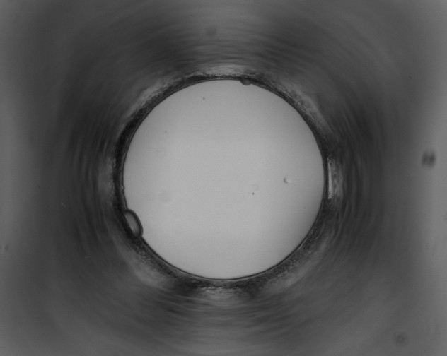 X0000100860300200807181142