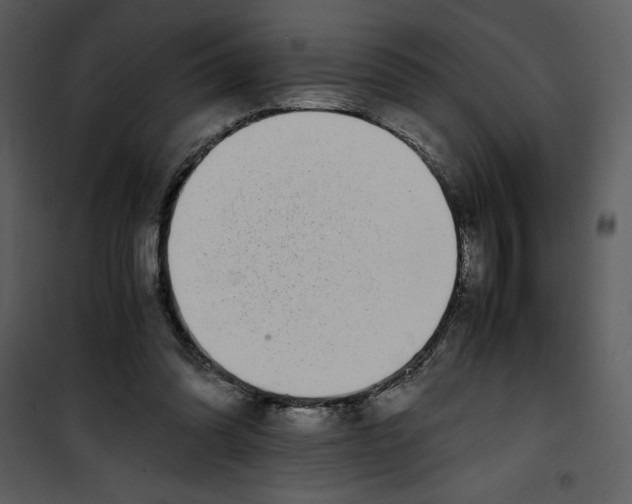 X0000100860302200807181142