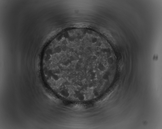 X0000100860303200807181142