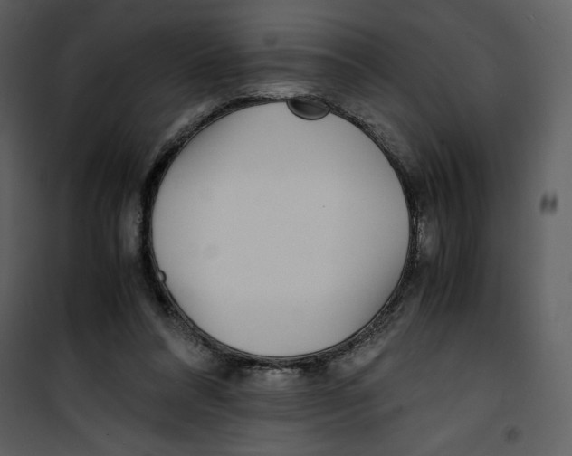 X0000100860304200807181142