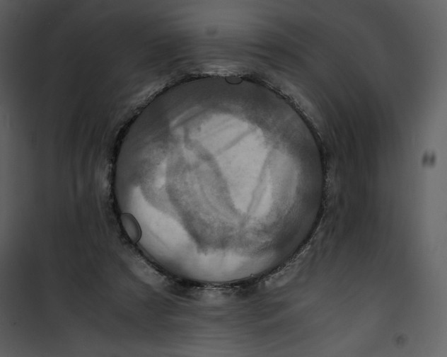 X0000100860305200807181142