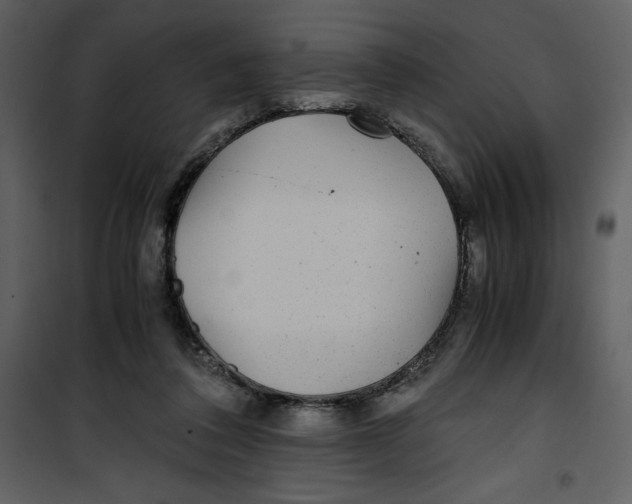 X0000100860308200807181142