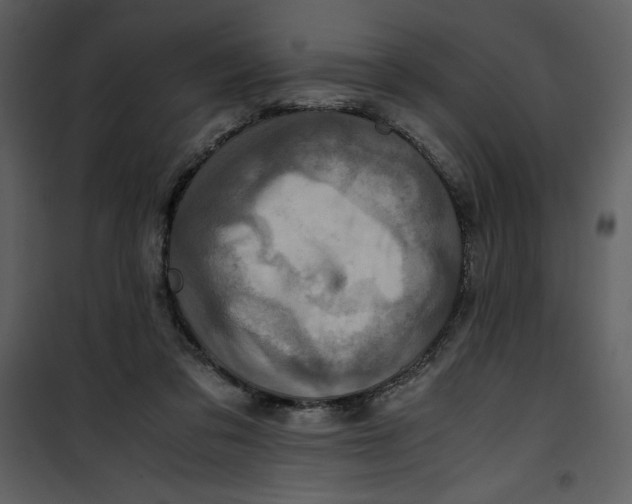 X0000100860309200807181142