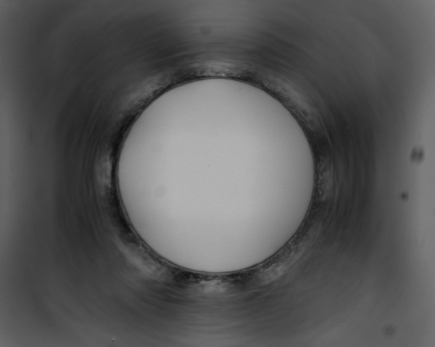 X0000100860310200807181142