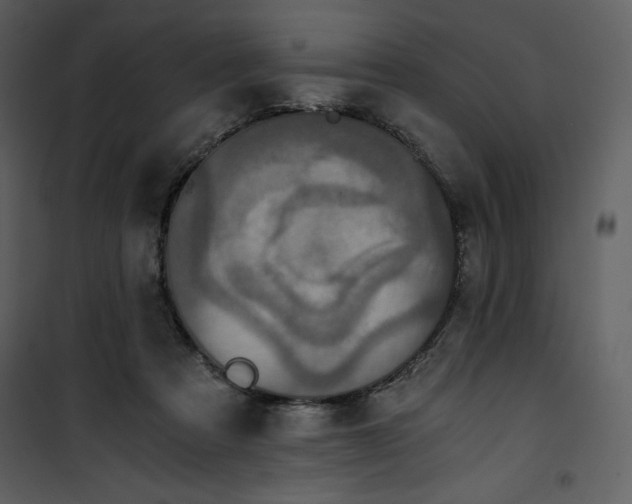 X0000100860313200807181142