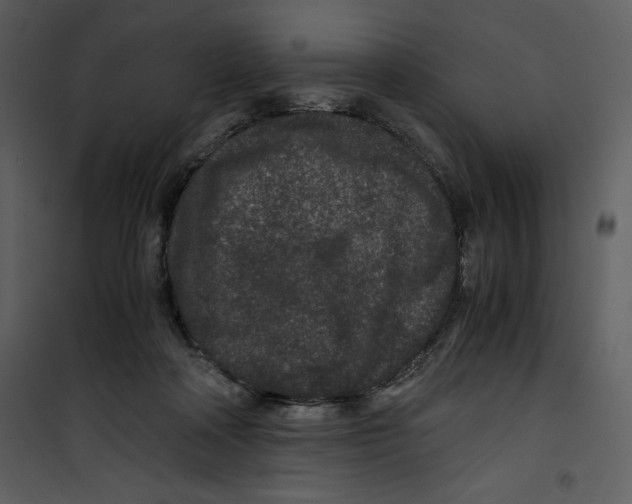 X0000100860314200807181142