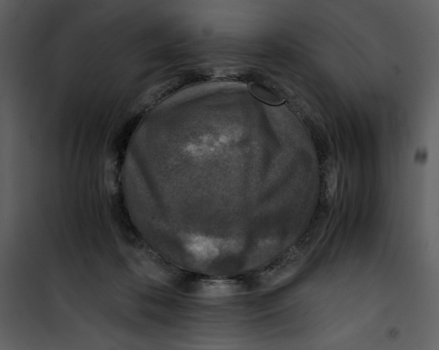 X0000100860316200807181142