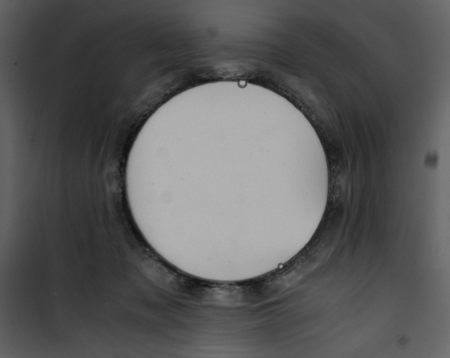 X0000100860317200807181142