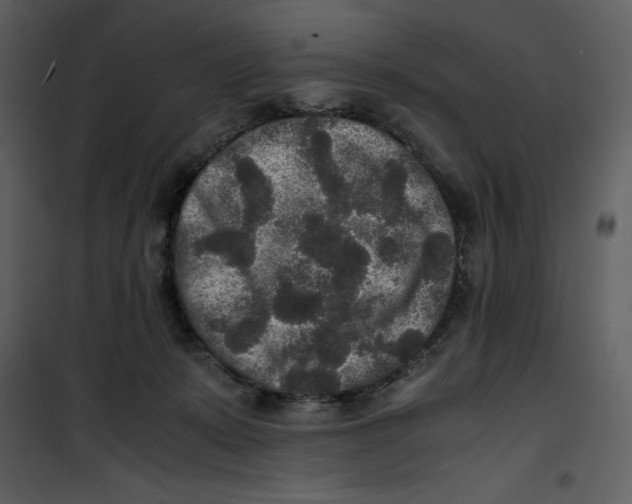 X0000100860319200807181142