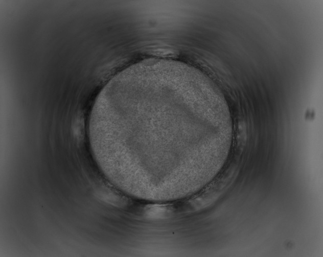 X0000100860320200807181142