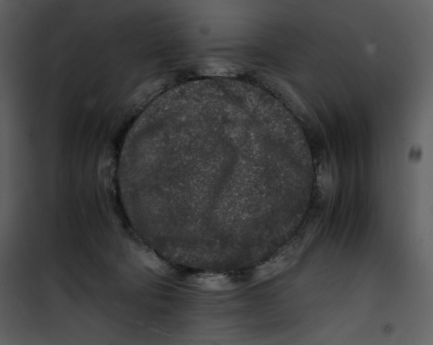 X0000100860322200807181142