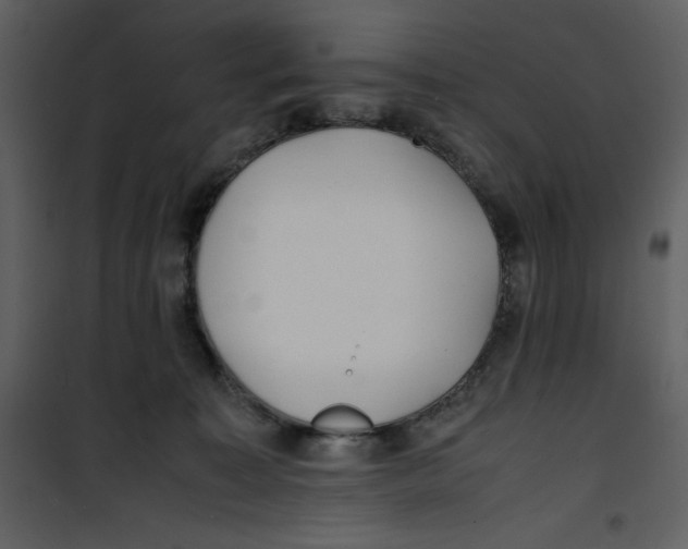 X0000100860323200807181142