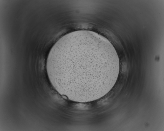 X0000100860326200807181142