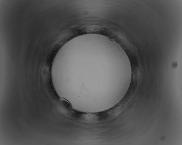 X0000100860327200807181142