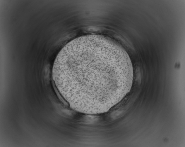 X0000100860328200807181142