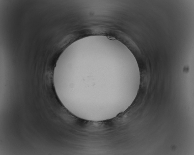 X0000100860329200807181142