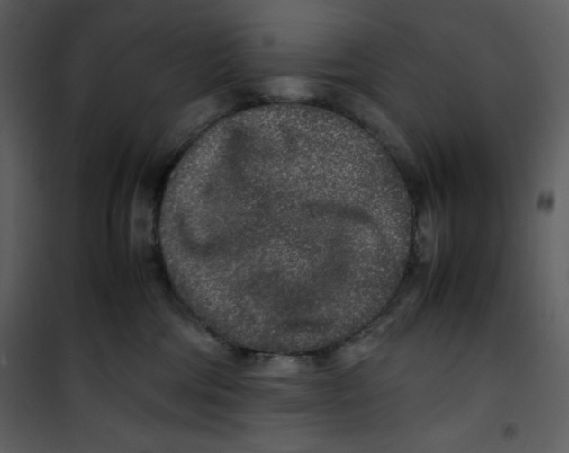 X0000100860330200807181142