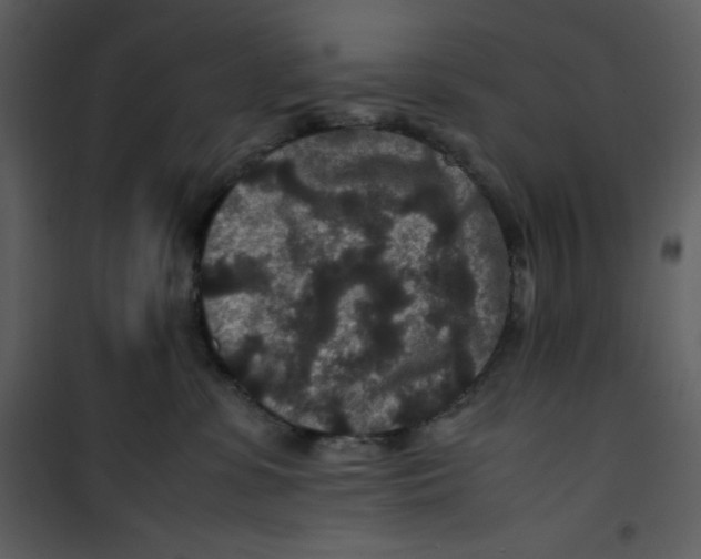 X0000100860331200807181142