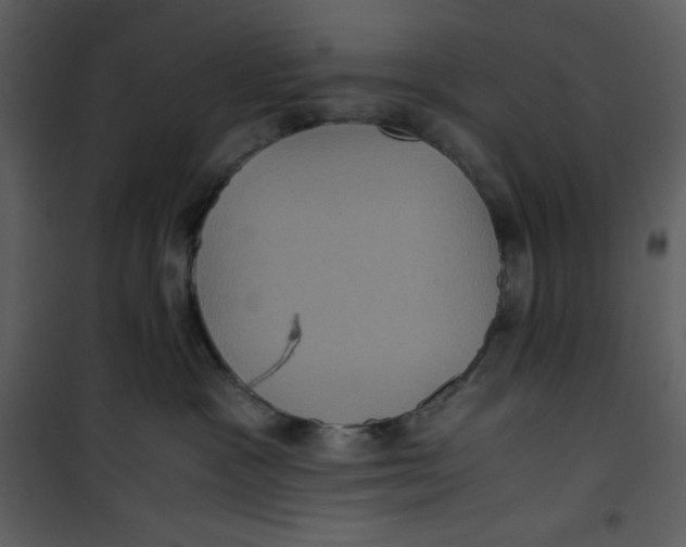 X0000100860333200807181142