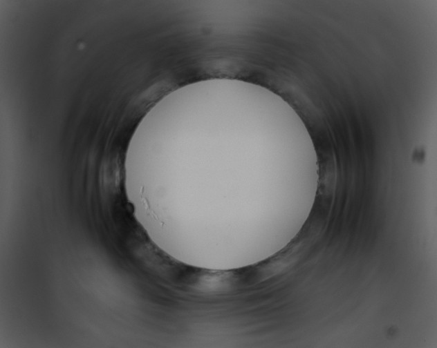 X0000100860334200807181142