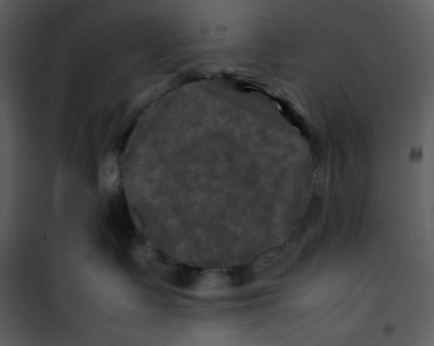 X0000100860335200807181142