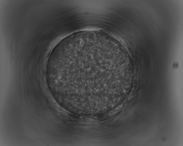 X0000100860337200807181141