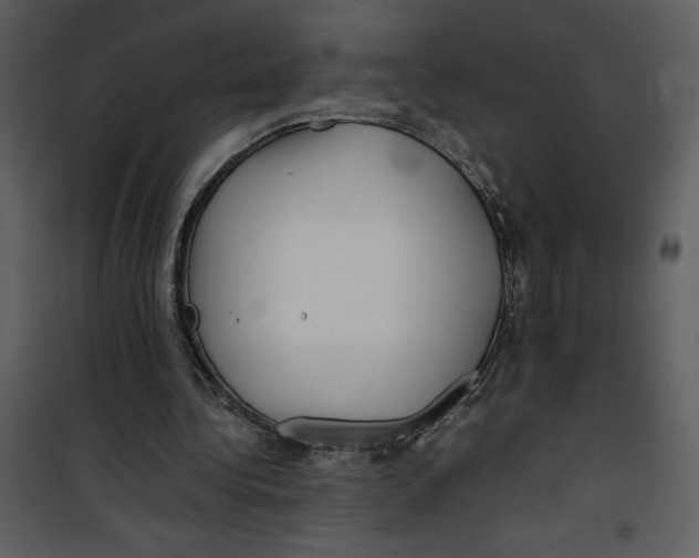 X0000100860340200807181141