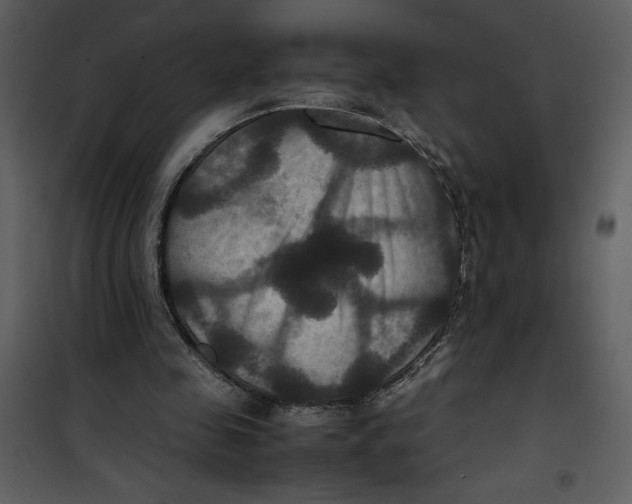 X0000100860341200807181141