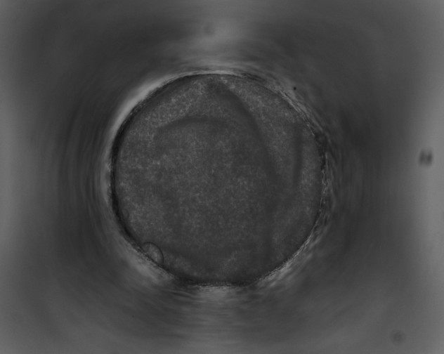 X0000100860342200807181141