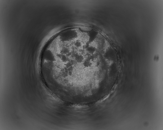 X0000100860343200807181141