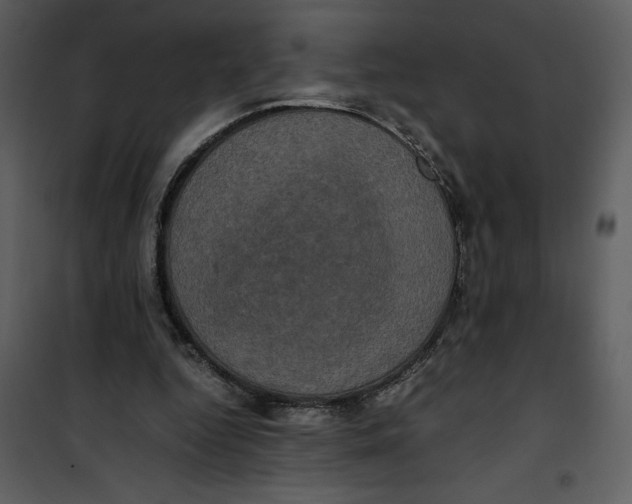 X0000100860344200807181141