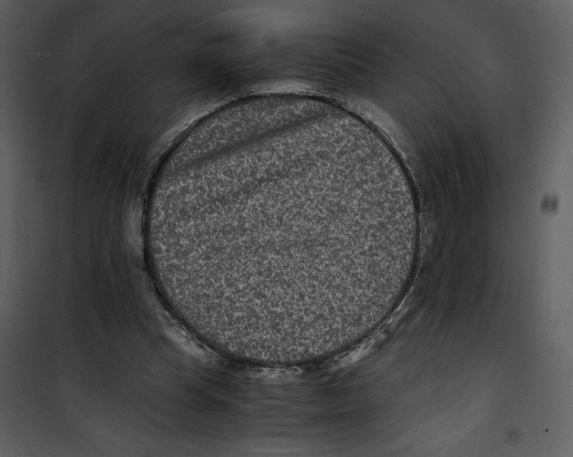 X0000100860345200807181141