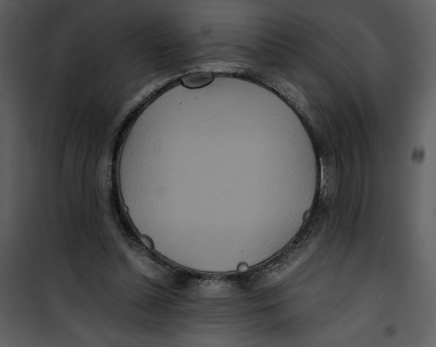 X0000100860348200807181141