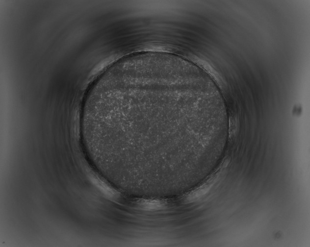 X0000100860349200807181141