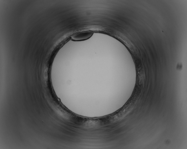 X0000100860350200807181141