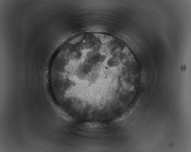 X0000100860351200807181141