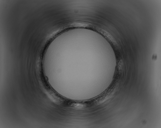 X0000100860352200807181141