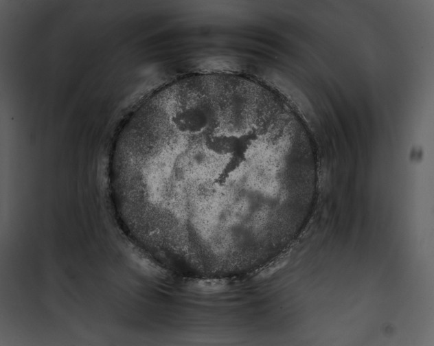 X0000100860353200807181141